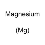 Magnesium