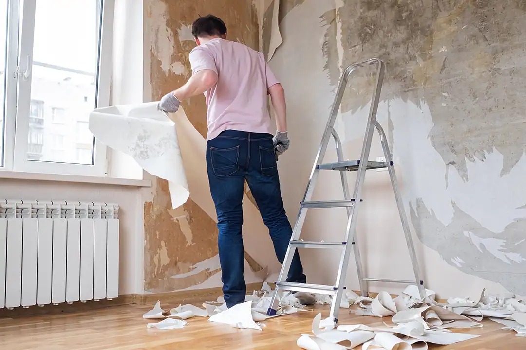 Man removes old wallpaper from a wall by hand beside a ladder in a room during renovation.
